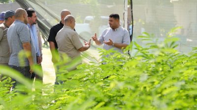 محافظ واسط يتفقد مشتل ديوان المحافظة المركزي ويؤكد تعزيز الرقعة الخضراء